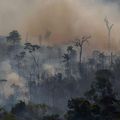 Incendies en Amazonie