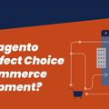 Why should You Choose Magento for Your Ecommerce Website