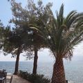 Back from Creta #1...