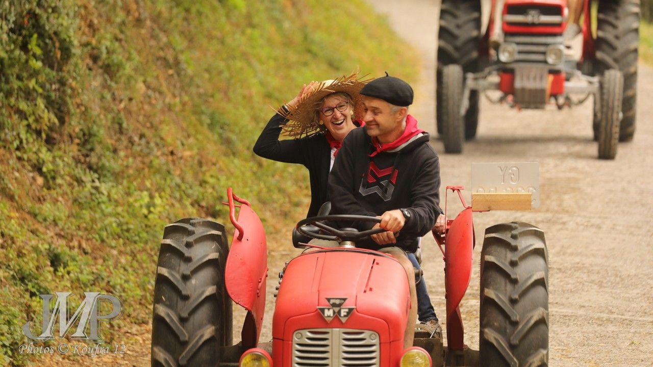 025 - Massey Ferguson : 35 - 37 CV - cm² - années 1960 – 1965