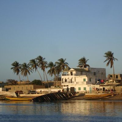 Les pélicans de Djouj et une soirée d'artistes