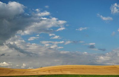 La moisson en Picardie