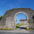 Saint-Florent le Vieil 2