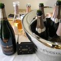 Champagne Mailly Grand Cru, Vintages Millésimés et Blanc de Noirs