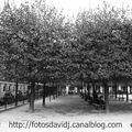 Place des Vosges