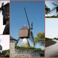 Moulins dans les vignes de Montsoreau.