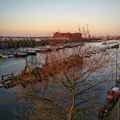 Amsterdam pendant la fleuraison des tulipes, j'en ai rêvé, c'était magnifique !