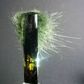 Pyromorphite, Petrified Wood, Seraphinite, Manganese Oxides, Analcime, Epidote, Byssolite