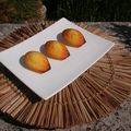 Madeleines au citron pour faire face à un petit creux !!