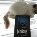 Le Manoir tome 1 : Liam et la carte d'éternité - Evelyne Brisou-Pellen