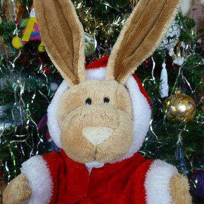 Un inédit de Jean-Claude Lapin : un Noël féérique !