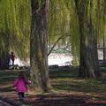 printemps aux Jeunes-Rives 