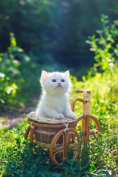 Spring is in the air.
