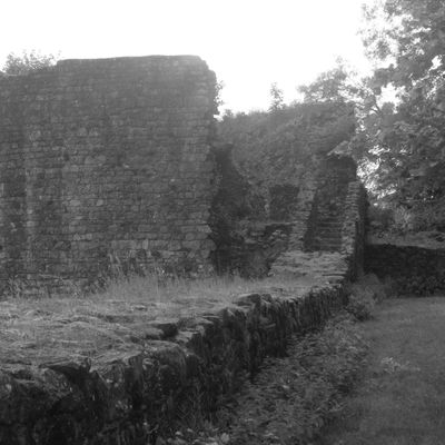 Château de Pouzauges 2