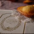 Les madeleines Ladurée