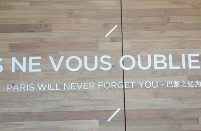 Blog en pause 