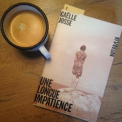 Une longue impatience de Gaëlle Josse, bouleversant. 