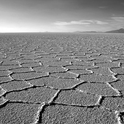 Quel est mon arbre ou ma ville, dans quelle île ou quel exil