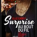 The Bourbon Street Boys, Tome 1 : Surprise au bout du fil, d'Elle Casey