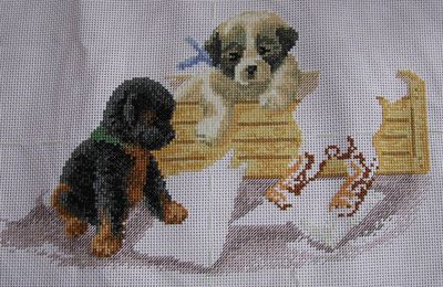 Portée de chiots : 5° avancée