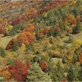 Automne en moyenne montagne