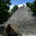 Ruines de Coba (Mayas)