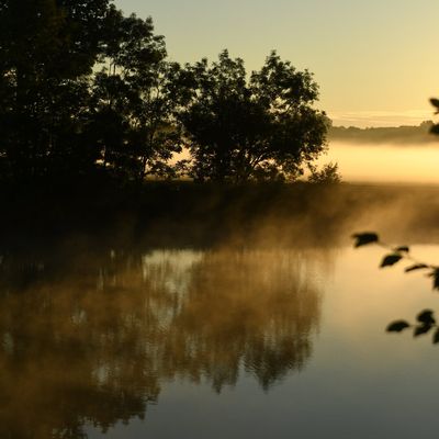 Le premier jour du reste de la vie du blog…