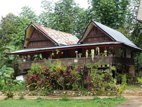 Voyage en Sulawesi - Visite de villages typiques Toraja et découverte des falaises de Lemo