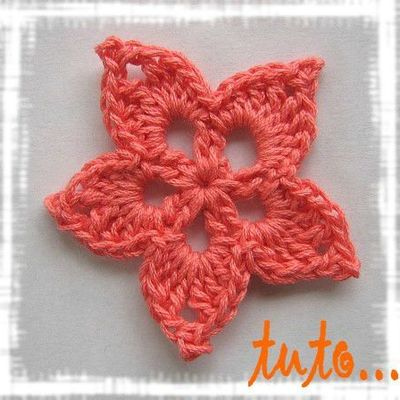 Petites fleur de coton...