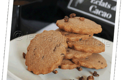 Sablés sans sucre au chocolat et éclats de cacao (2pp)