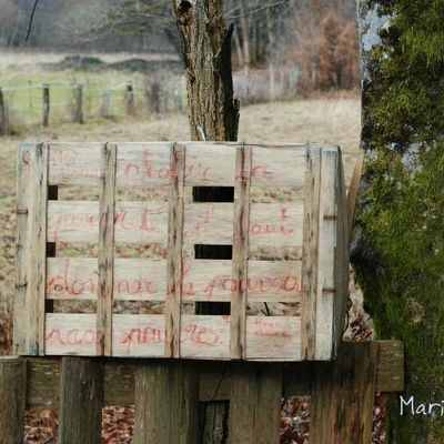 Photos partage du lundi