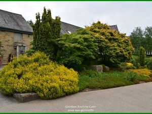 Les jardins de Harlow Carr; YORKSHIRE, Angleterre - 1ère partie/2