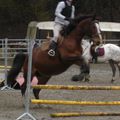Stage galop 6 - Obstacle