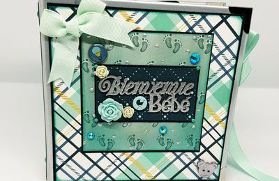 Mini-Album: Bienvenue Bébé 