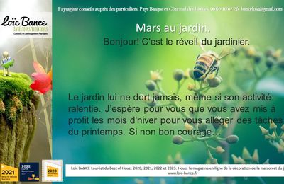 👨‍🌾 Mars 2024 au jardin par Paysagiste Pays basque et paysagiste Landes.