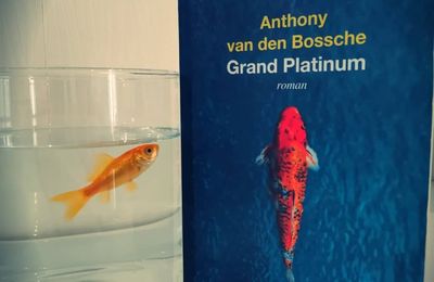 Grand Platinum- Anthony Van den Bossche