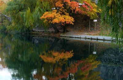 L'automne-en double