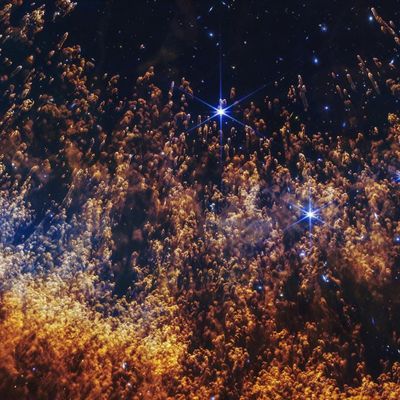 Revue de presse du 30 janvier 2026