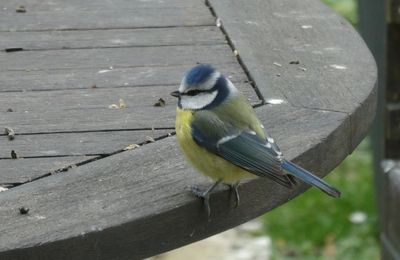 Photos du Dimanche !