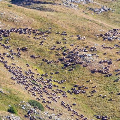Ecrins  - Ancelle - Aux sources de la Rouanne