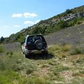 Provence, Mercantour, Corse et ciel bleu !... 