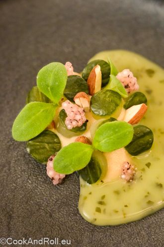 Cecila par Melanie Englebin propose un menu gastronomique aux Jeunes Gastronomes