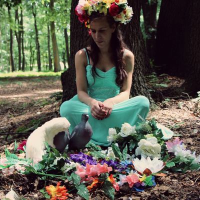 Cécilia et ses furets