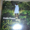 Morne Câpresse de Gisèle Pineau