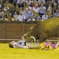 Corrida : au nom du pèze, du fric et du sang esprit