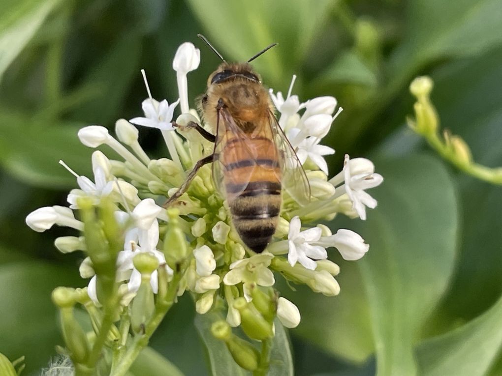 Jeudi 30 octobre 2025: Accès :  à pied depuis le centre-ville de Châtelguyon
