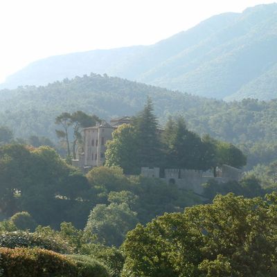 Laquelle ? La vraie !