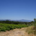 Mont Ventoux