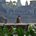 Angkor et encore...