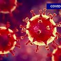 COVID : LE VIRUS N’A PAS DISPARU.